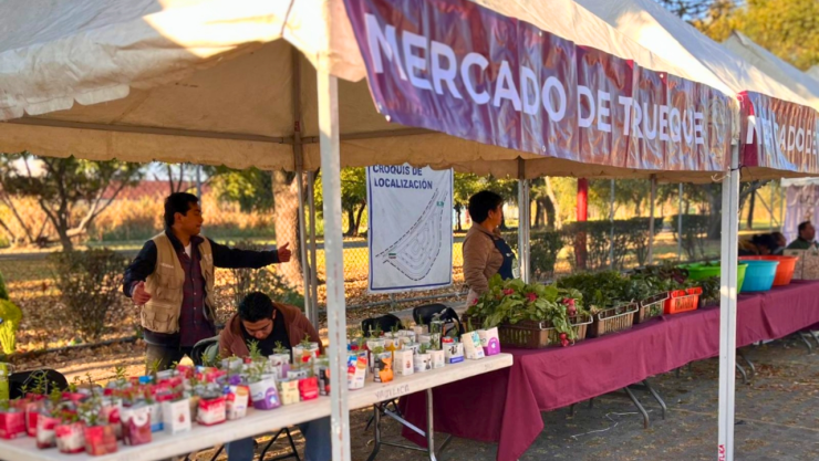Mercado de Trueque CDMX