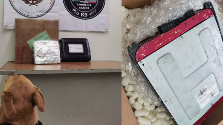 guardia nacional caninos droga tlaquepaque.jpg