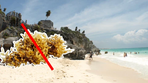 Conoce las playas libres de sargazo en Tulum, Carrillo Puerto, Bacalar y Chetumal HOY 16 de septiembre de 2025.jpg