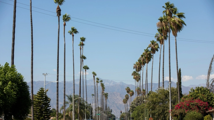 Un camino de California