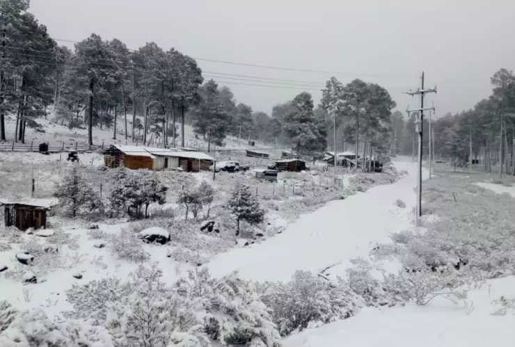 el-lugar-mas-frio-en-mexico-segun-ia-la-rosilla