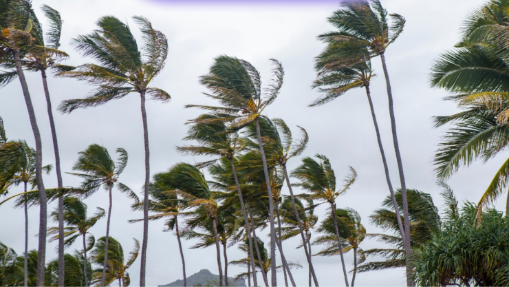 Se forma la depresión tropical Tres-E en el Pacífico.