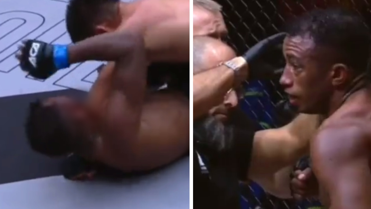 MMA.jpg