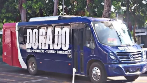 Autobuses climatizados en Veracruz