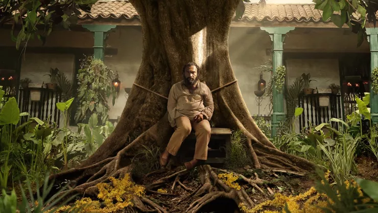 ‘Cien años de Soledad’ y todos los estrenos de Netflix que llegan en diciembre