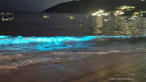 playas de acapulco .jpg