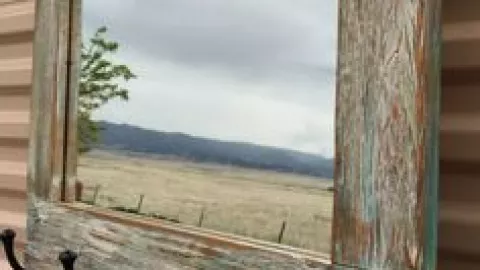 darles una renovación