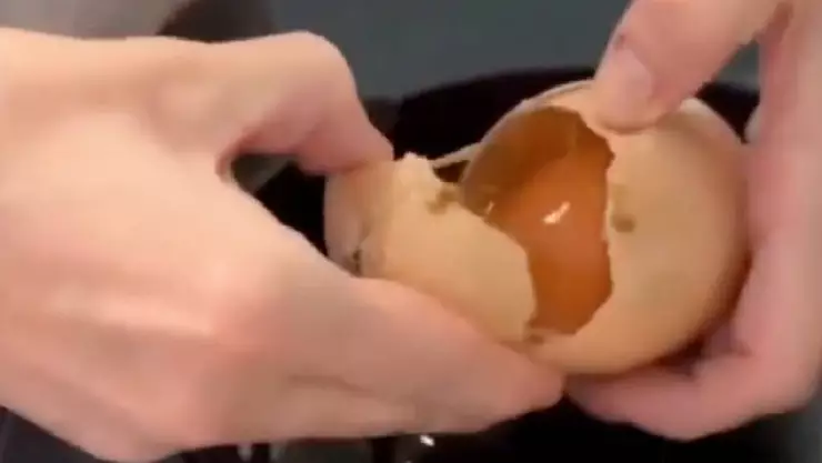 PORTADA extraño fenómeno huevo.jpg