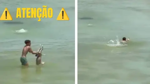 VIDEO: Captan a menor intentando ahogar a un perrito durante 40 minutos antes de lograr ser rescatado