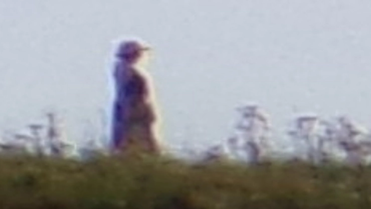 Fantasma de mujer victoriana en cementerio.jpg