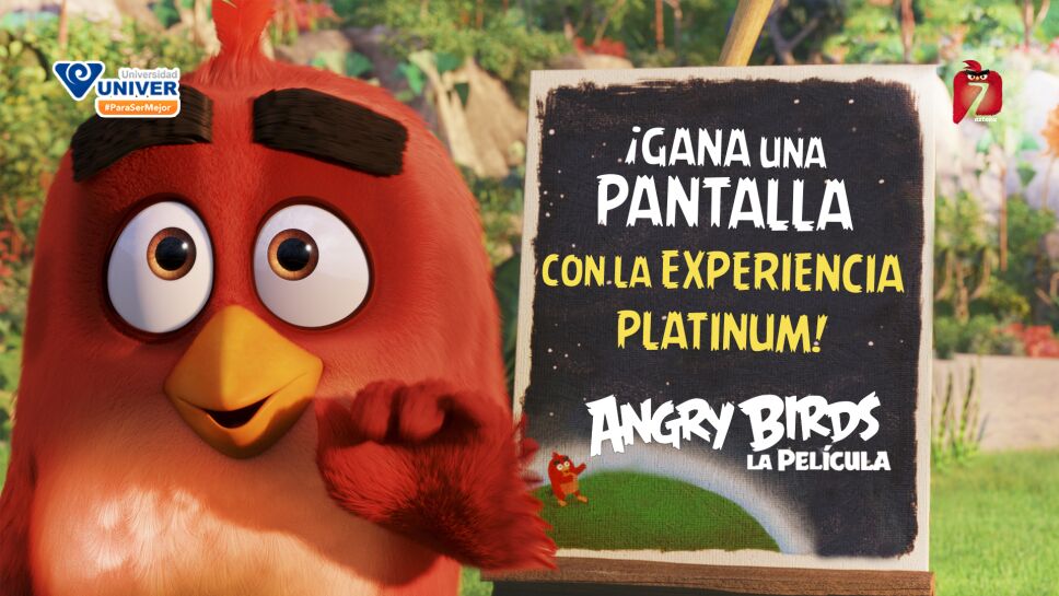 angry birds
