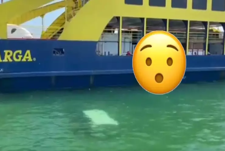 Camioneta cae al mar por error al querer subirse al ferry a Isla Mujeres.webp