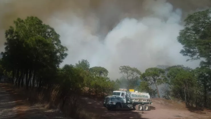 100 brigadistas combaten incendio hoy en la Sierra de Quila; cuánto han controlado