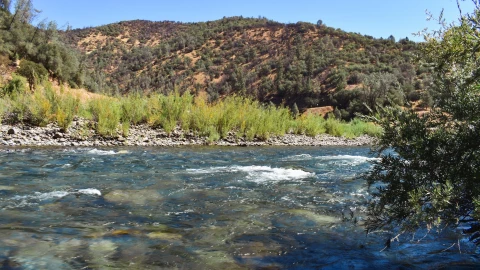 Área Recreativa Estatal de Auburn