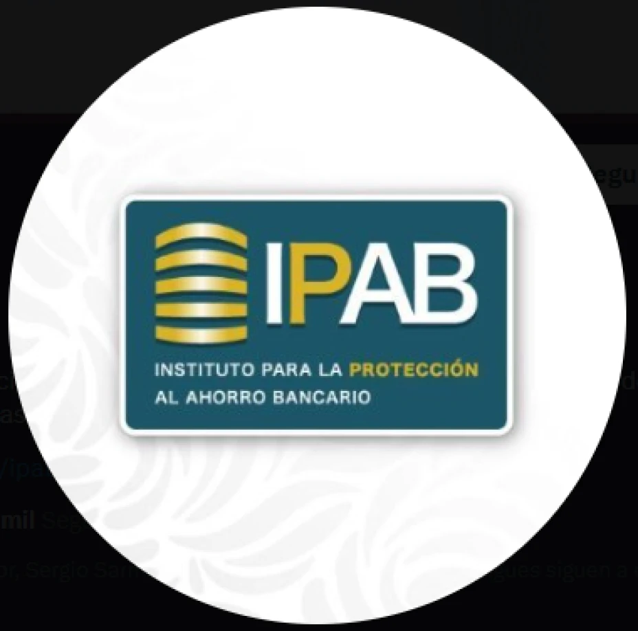 IPAB X.png