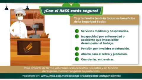 afiliación imss.JPG