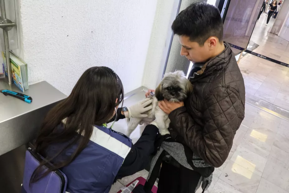 Sader 18 de diciembre 2024.jpeg