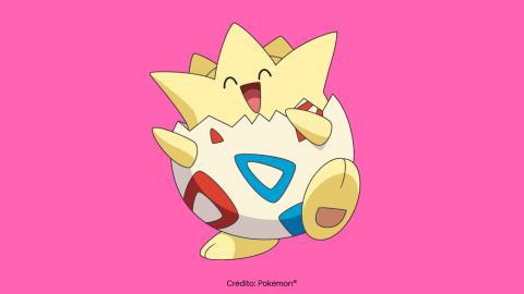El primer Pokémon capturado por Misty fue un Horsea, aunque, Togepi es su inseparable amigo.