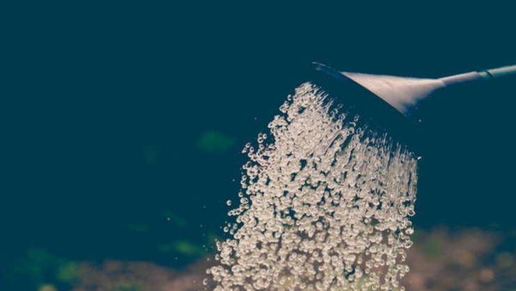 México-enfrenta-severa-escasez-de-agua-ante-sequía-persistente