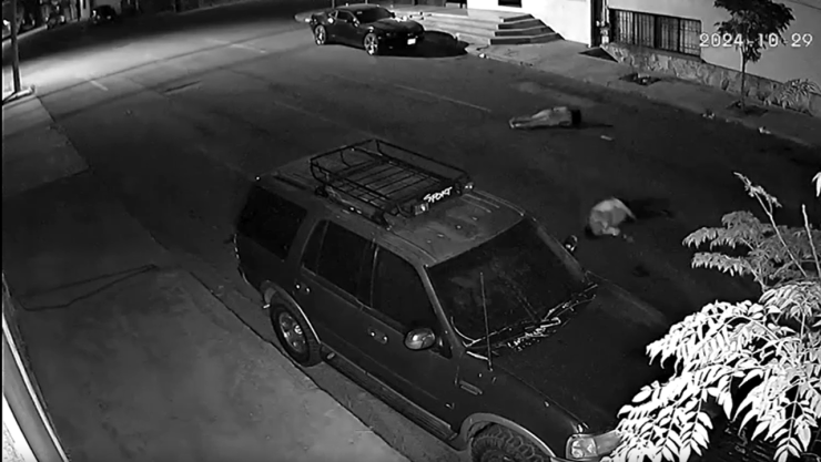 Pareja Arrollada en Santo Niño