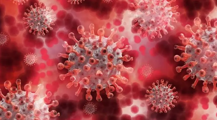 coronavirus sars cov 2.jpg
