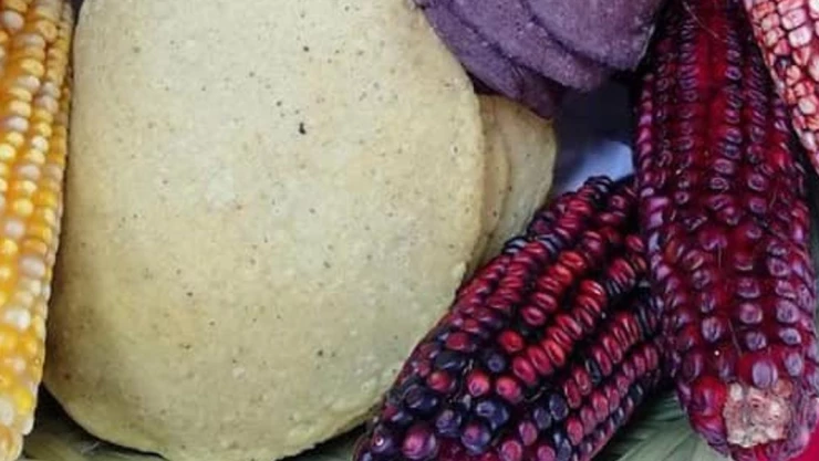 kilo de tortilla precio