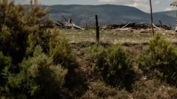 La conoció en una app, la citó y le quitó la vida horas antes de Año Nuevo