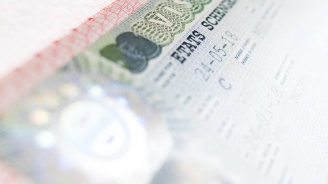 Visa americana 100 días