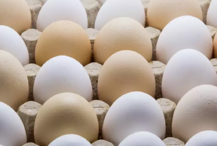 Este es el precio del huevo en México del 3 al 9 de junio de 2024