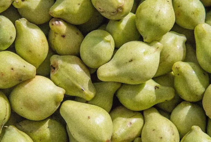 El alimento exótico con 100 veces más vitamina C que la naranja que es casi ‘mágico’ en tu piel 