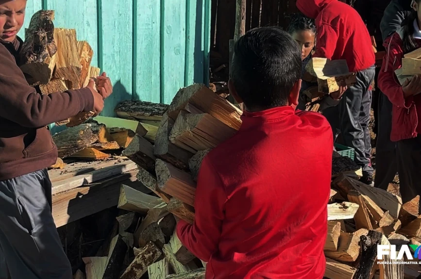 Los alumnos de la comunidad de la Silla, Durango, deben recolectar leña para no morir de frío en clases.