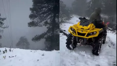 Diseño sin título (8).jpg