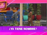 El público tendrá la última palabra, pero Ivonne Montero ya bautizó al perrito de La Granja VIP