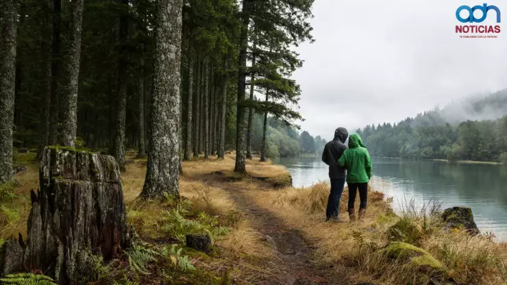 Desintoxicación de redes sociales 