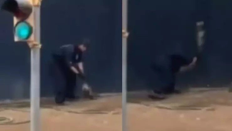 Detienen a sujeto por matar a un tlacuache