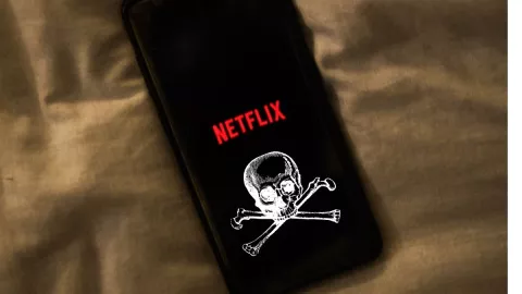 WhatsApp, FlixOnline, Netflix 2.jpg