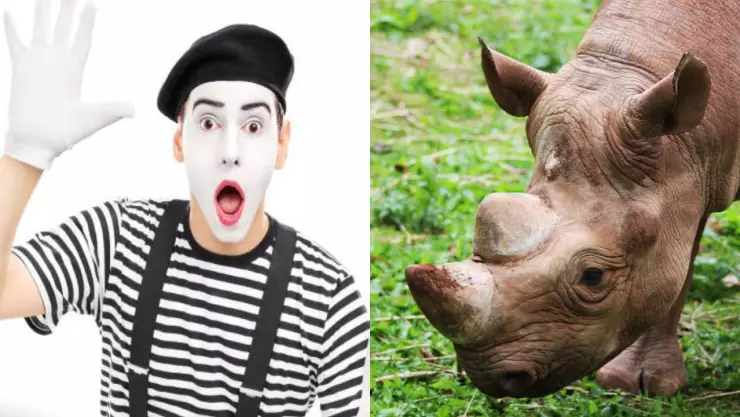 ¿Cuáles son las efemérides del 22 de septiembre? Hoy es Día del Rinoceronte