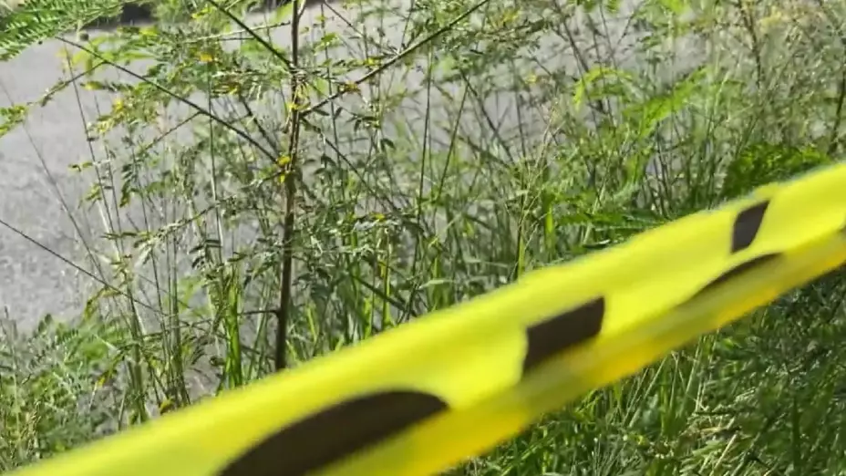 Presunto robo de un cráneo en cementerio de Hoctún provoca fuerte movilización