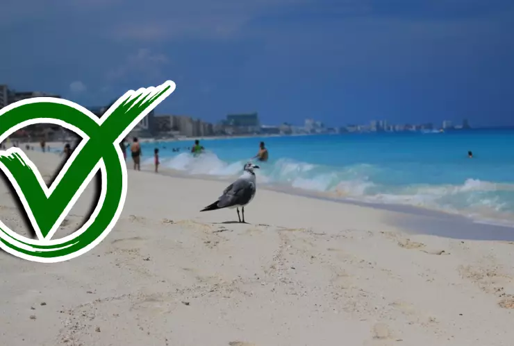 Estas son las playas de Cancún en las que puedes nadar HOY 5 de agosto de 2025.jpg