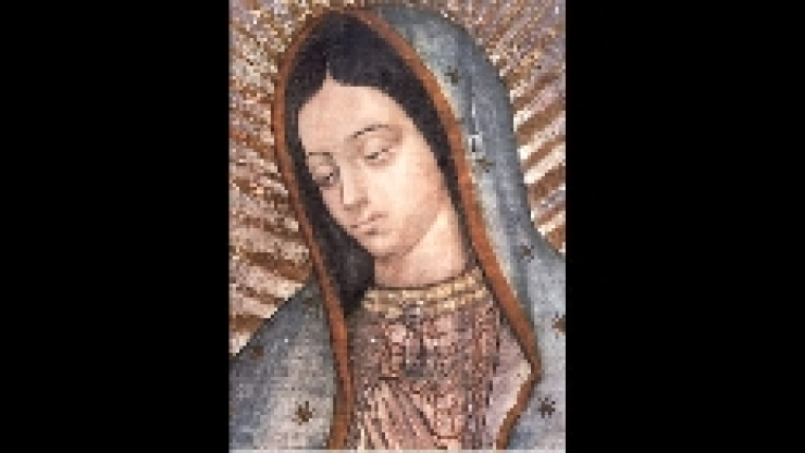 virgen de guadalupe