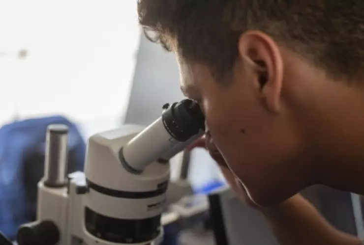 Medallas para jóvenes mexicanos en olimpiada iberoamericana de química