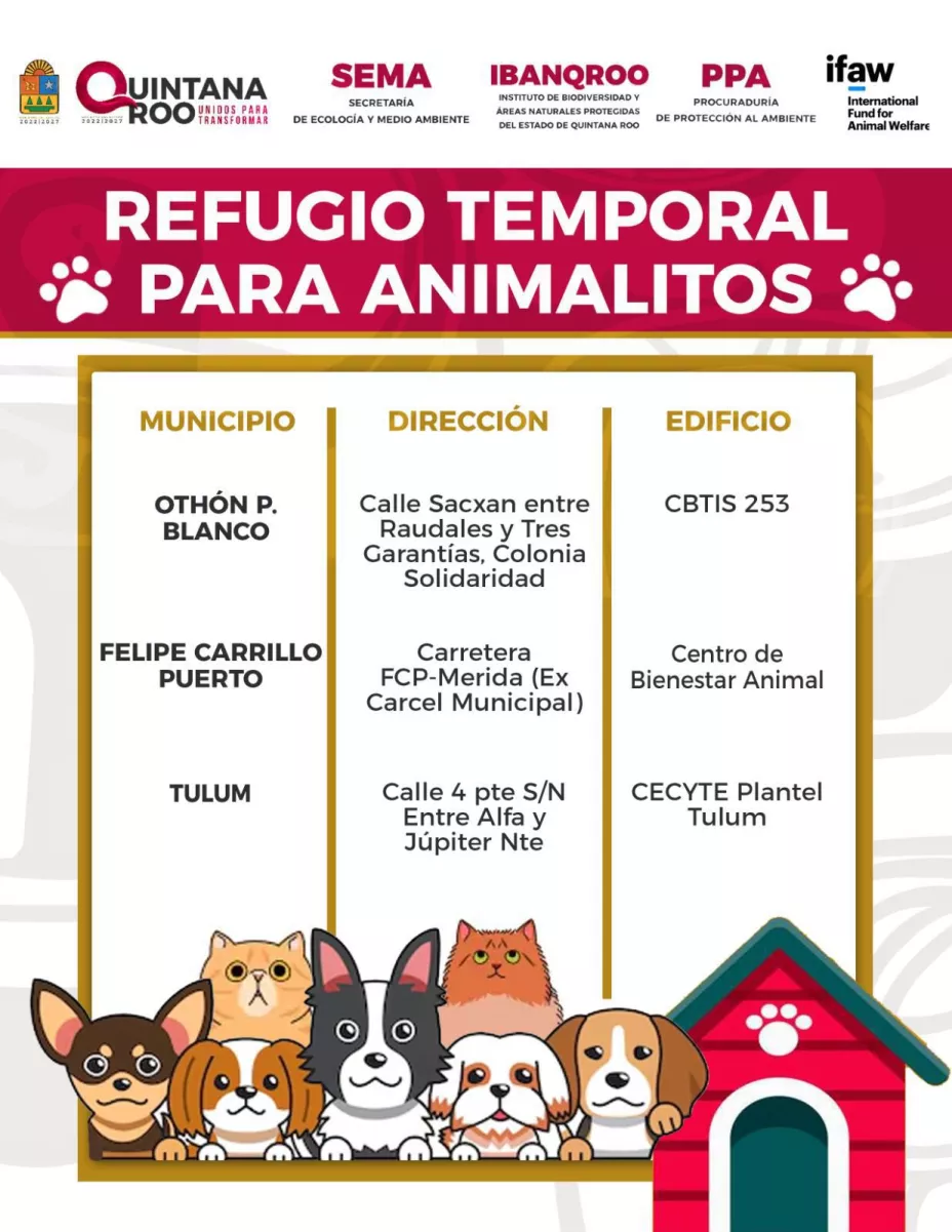 Activan refugios temporales para animalitos ante la llegada del huracán Beryl