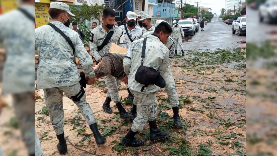 Guardia Nacional Pamela Sinaloa Presidencia de M.jpeg