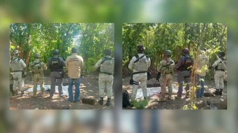 Narco fosas en Tabasco