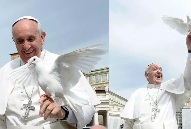 ¿A qué hora será el toque de campanas por la muerte del papa Francisco en Torreón?