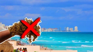 Estas son las playas sin sargazo en Quintana Roo HOY 15 de noviembre de 2025_ Cancún, Playa del Carmen, Tulum y más.webp