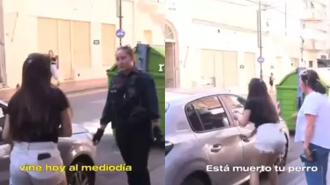 Perro muere encerrado en un coche y detienen a la dueña; video.jpg