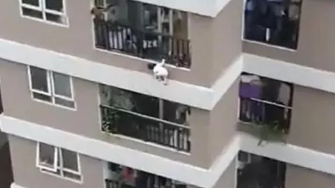 Una niña cayó del 12° piso de un edificio y un repartidor la rescató