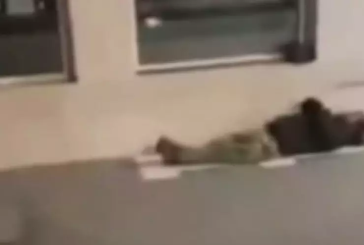 WhatsApp Image 2025-01-03 at 2.43.23 PM.jpeg