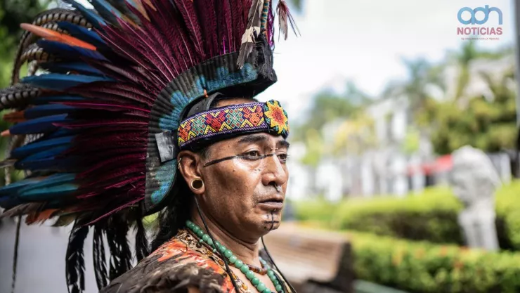 Beneficios del té de hoja santa: disminuye el azúcar en la sangre y la inflamación de los riñones